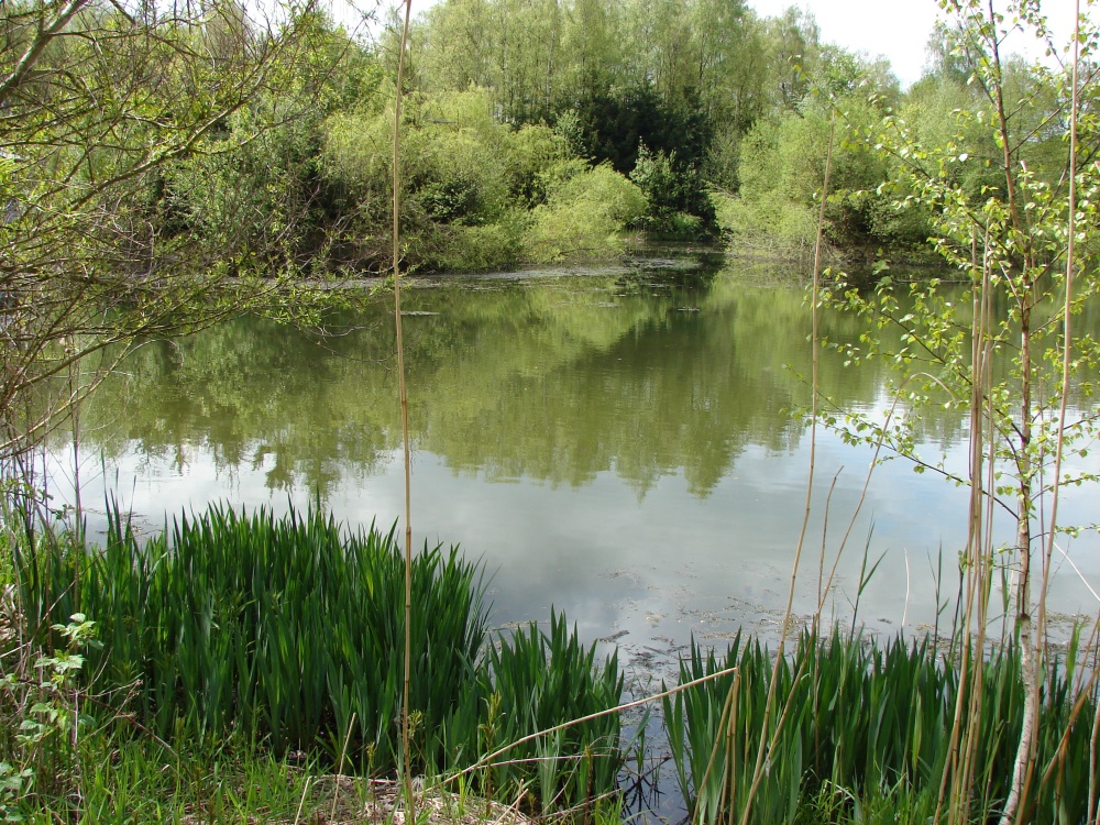 Stille am See