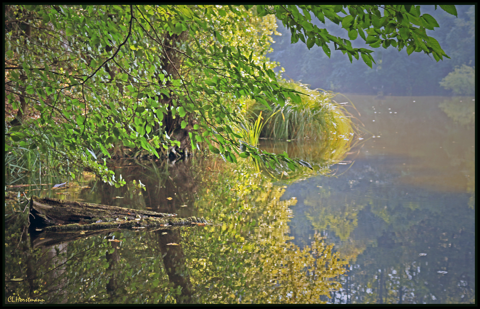 Stille am See