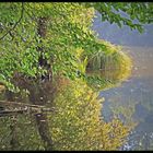 Stille am See