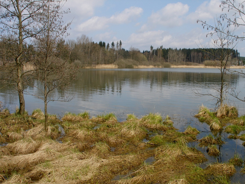 " STILLE AM SEE " 1