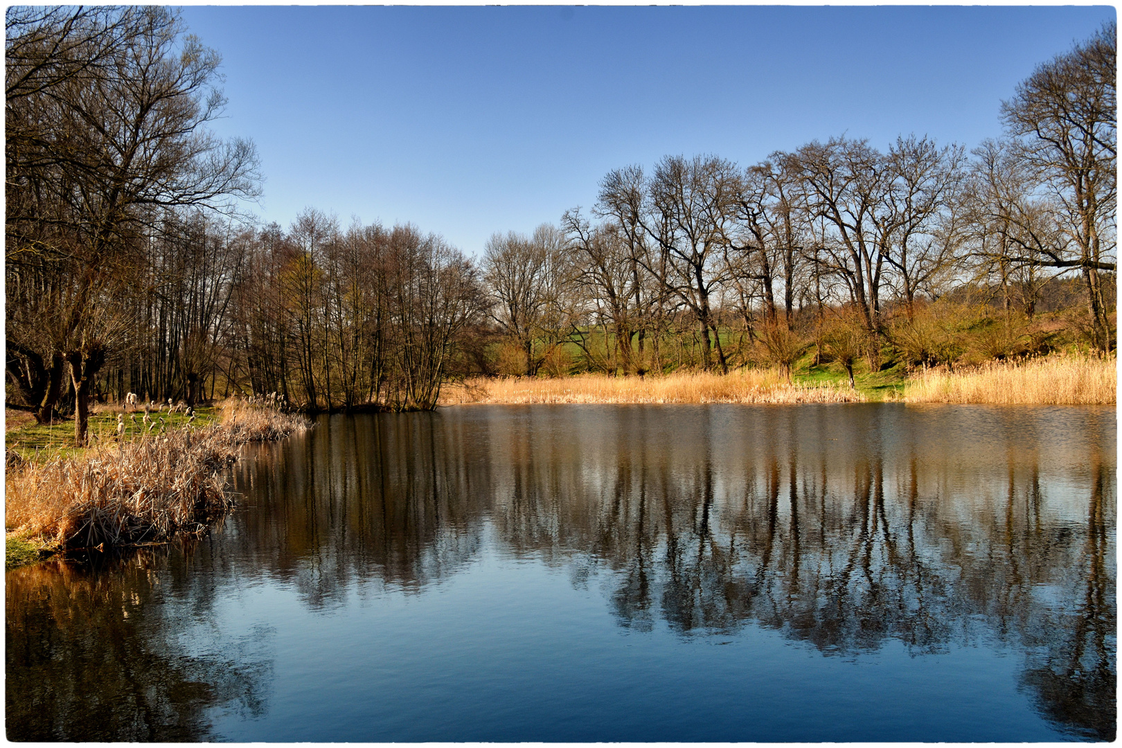 Stille am See