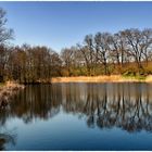 Stille am See