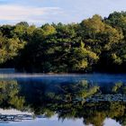 Stille am See