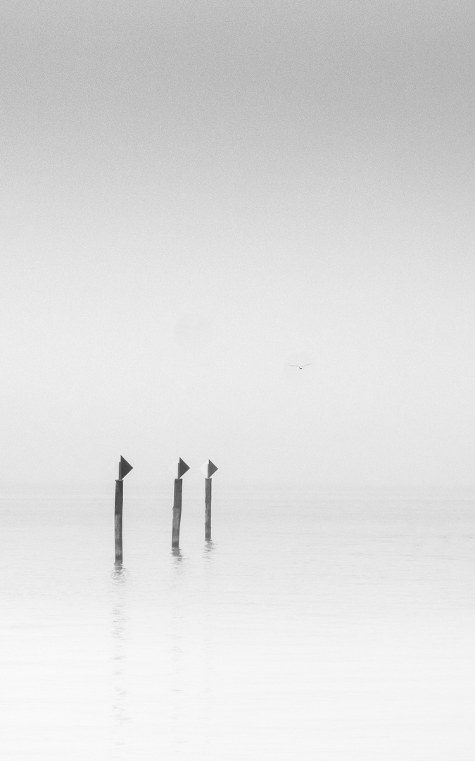 Stille am See