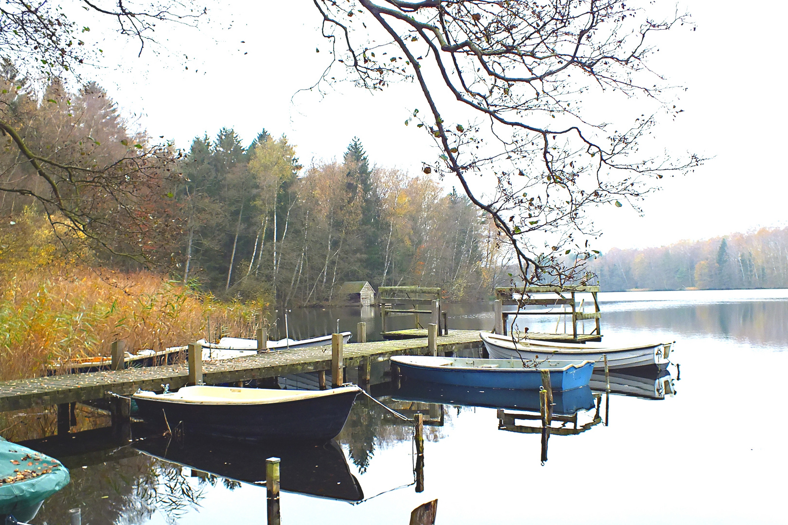 Stille am See