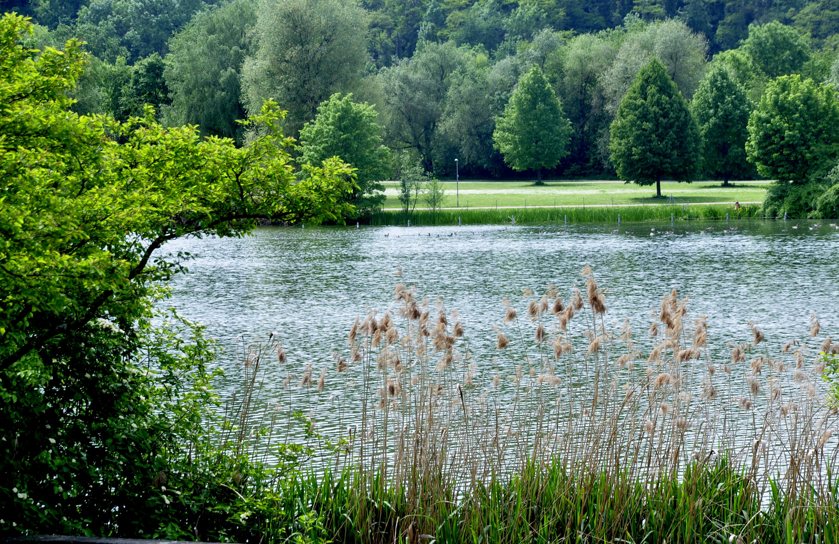 Stille am See 3