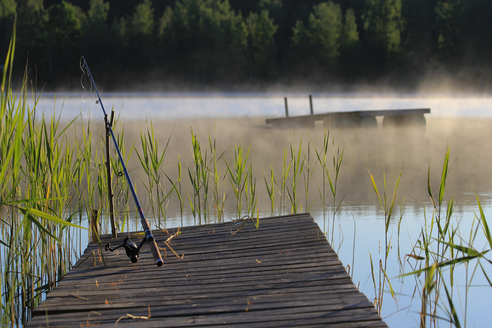 Stille am See