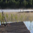 Stille am See