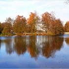 Stille am See