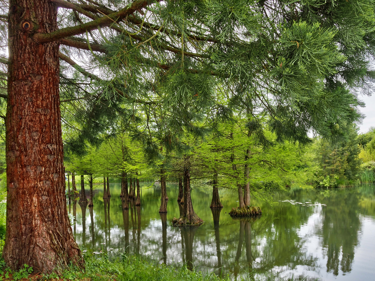 Stille am See