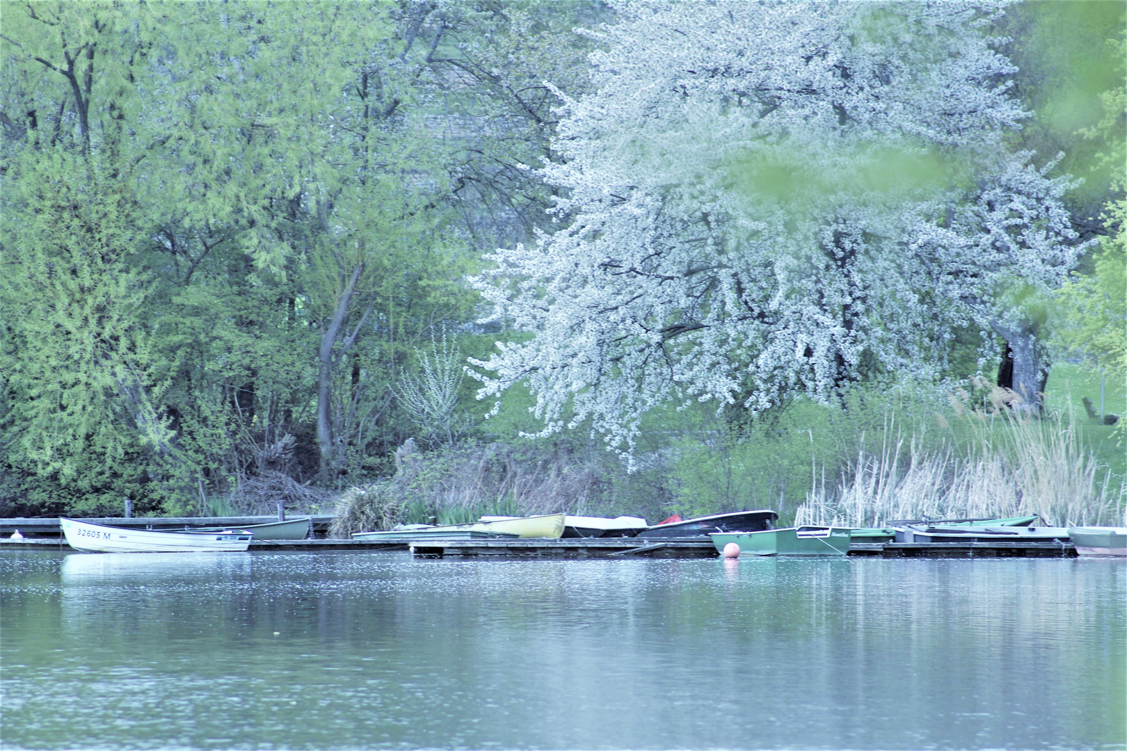 Stille am See