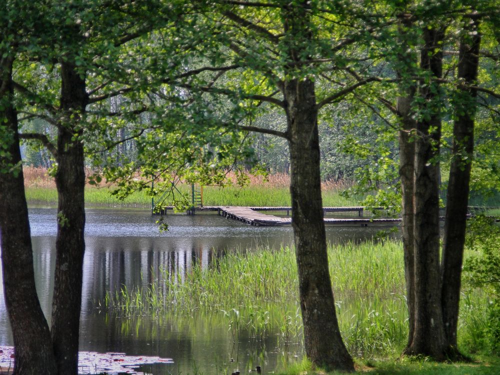 Stille am See