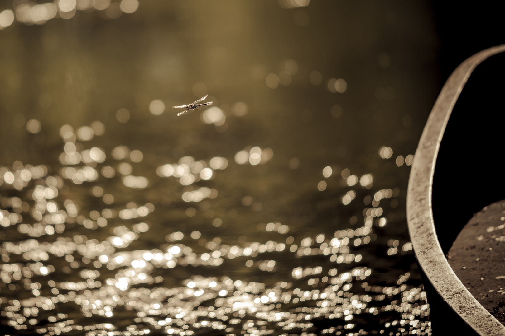 Stille am See