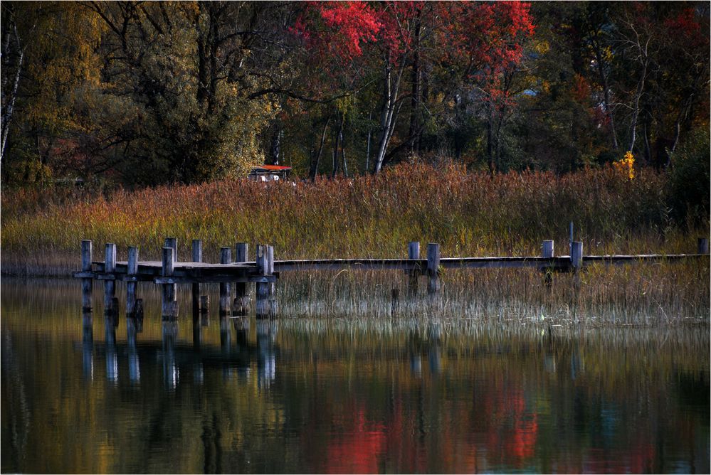 Stille am See