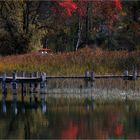 Stille am See