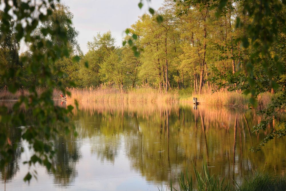 Stille am See