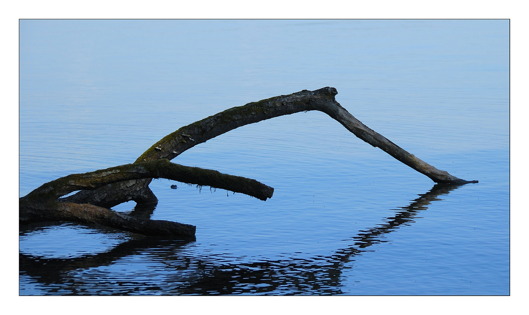 Stille am See