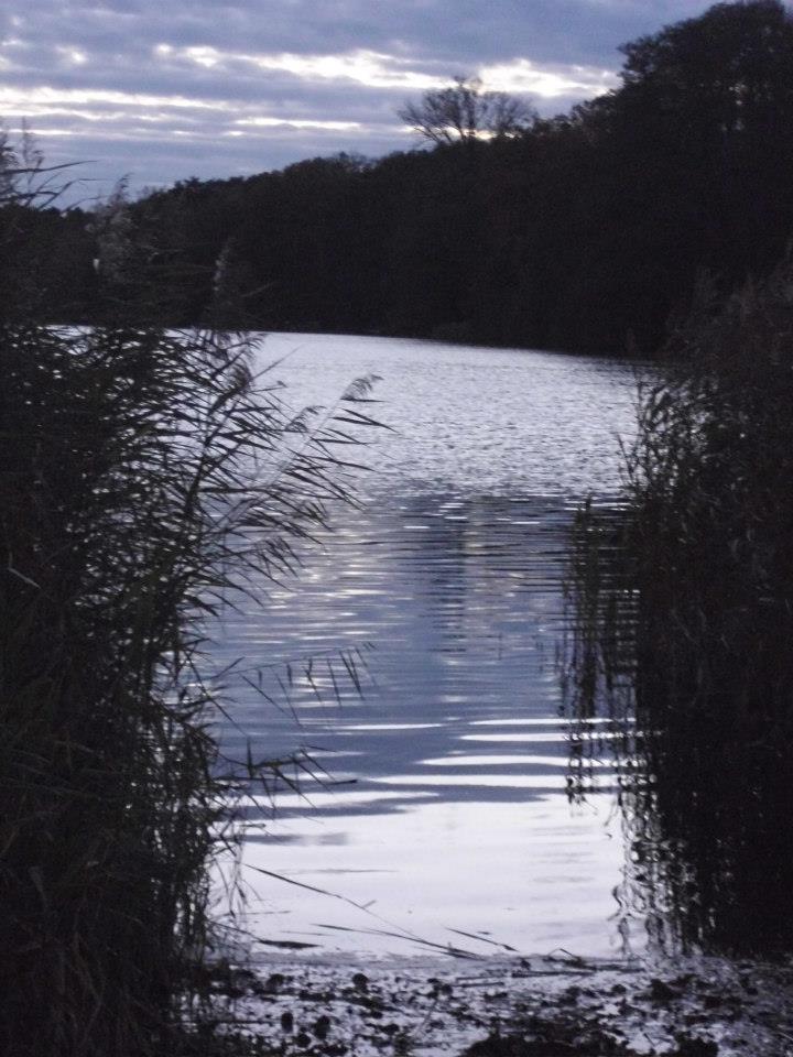 Stille am See