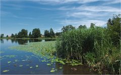 Stille am See