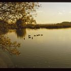 Stille am See