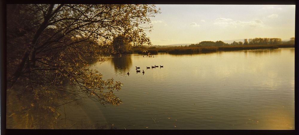 Stille am See