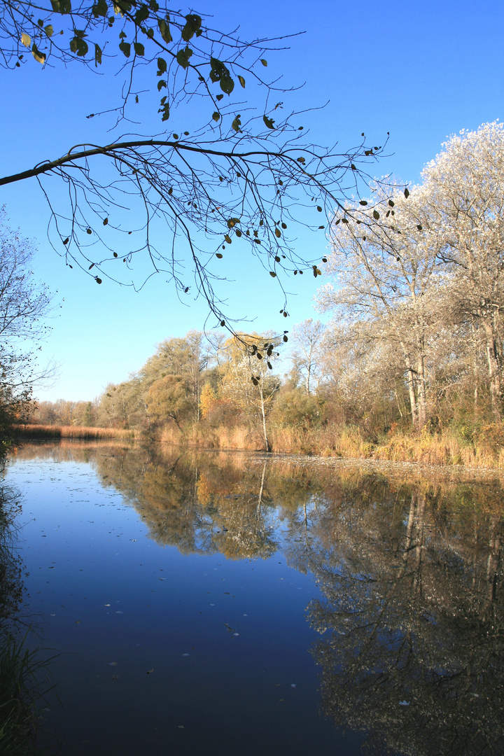 Stille am See