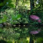 Stille am See