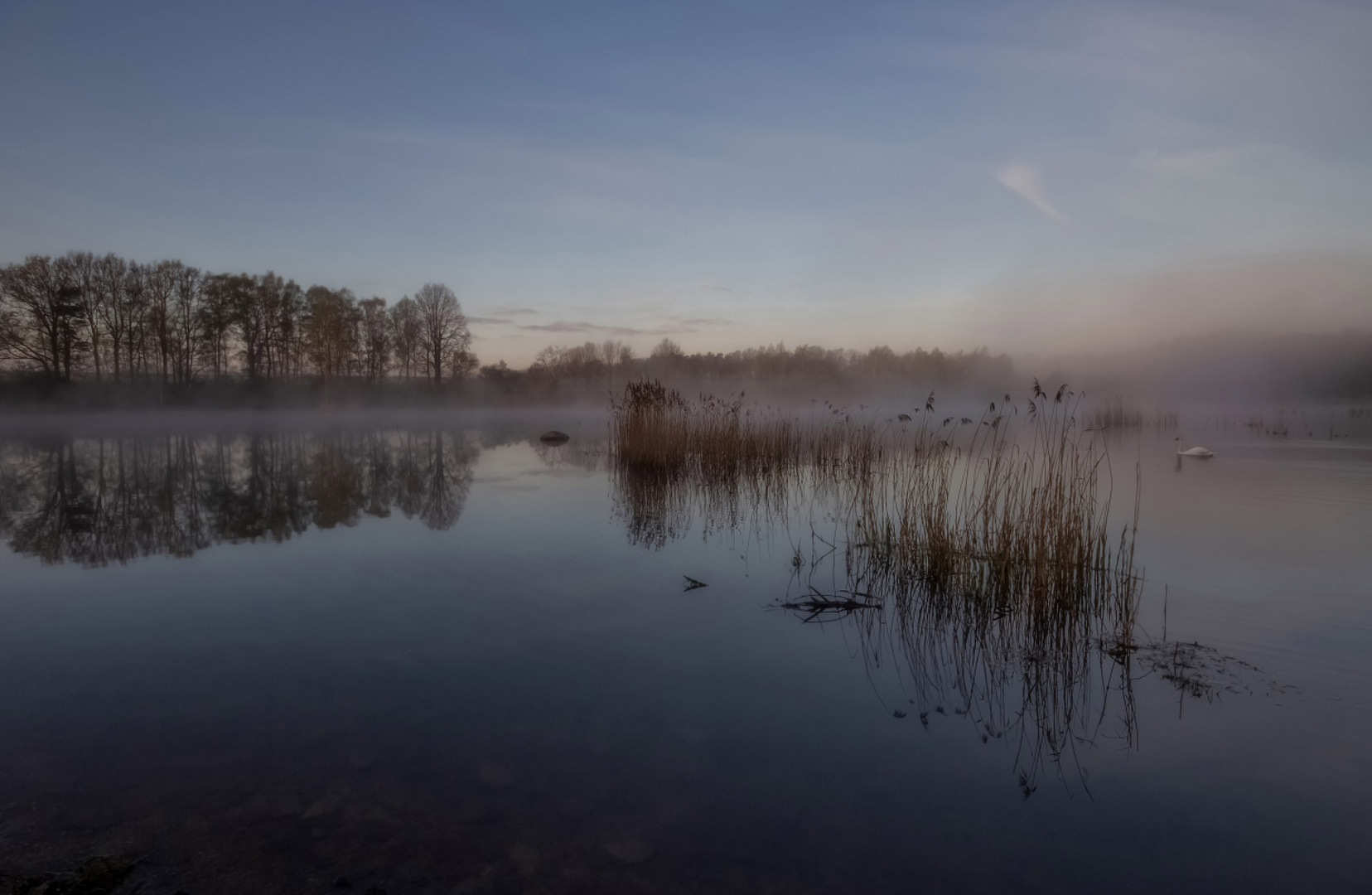 Stille am See