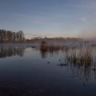 Stille am See