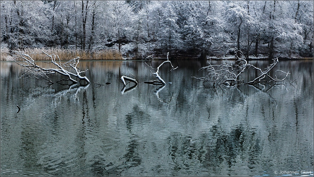 Stille am See