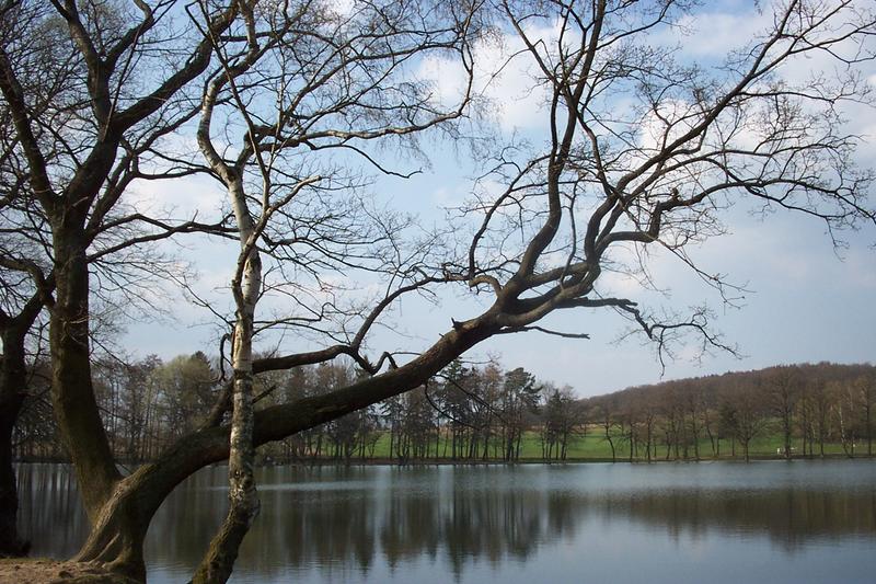 Stille am See von Horst Helfrich