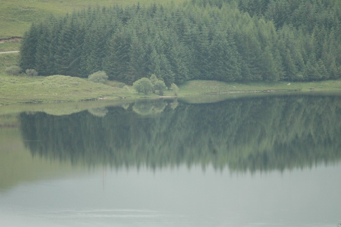 Stille am See