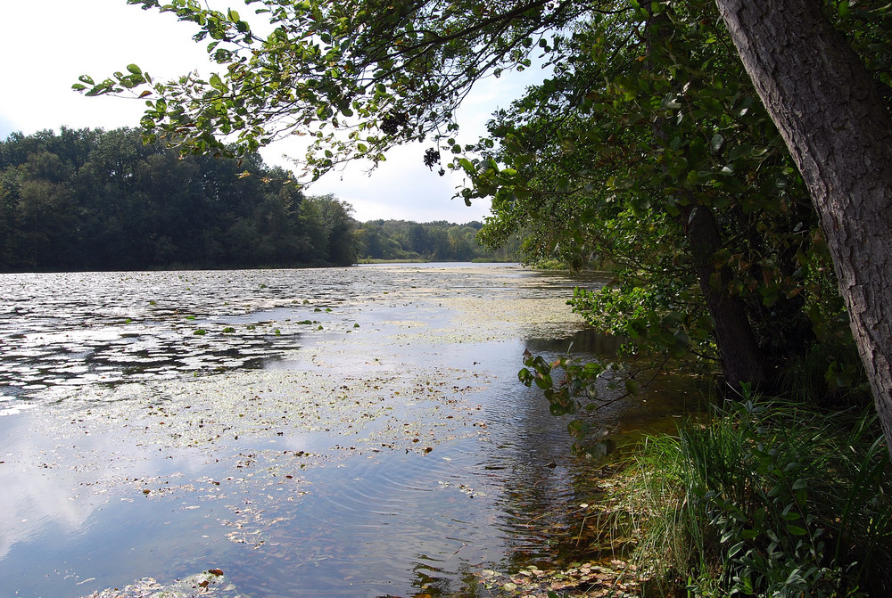 Stille am See