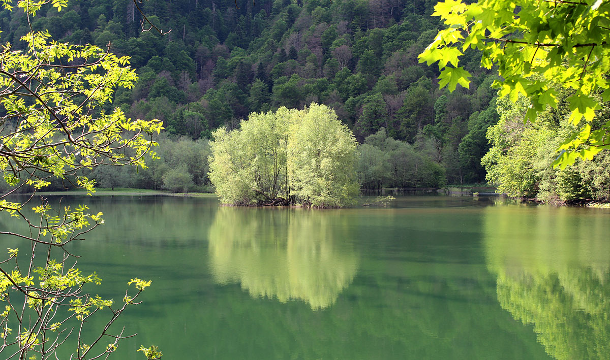 Stille am See