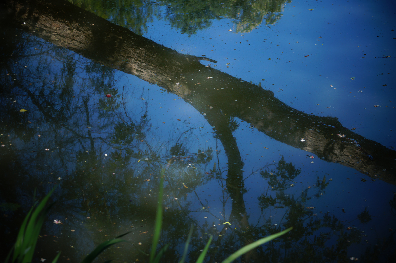 Stille am See