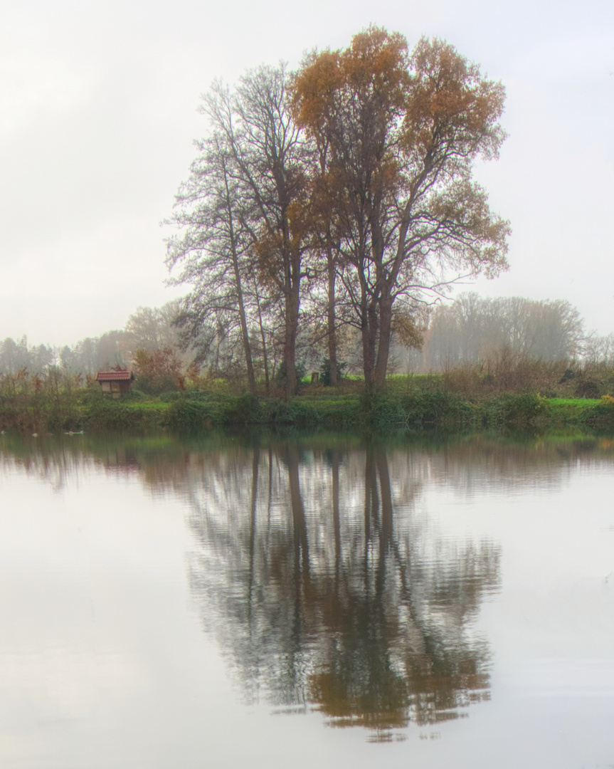 Stille am See