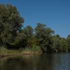 Stille am See