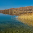 Stille am See