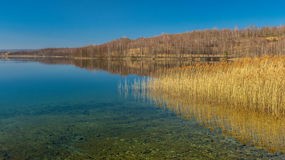 Stille am See