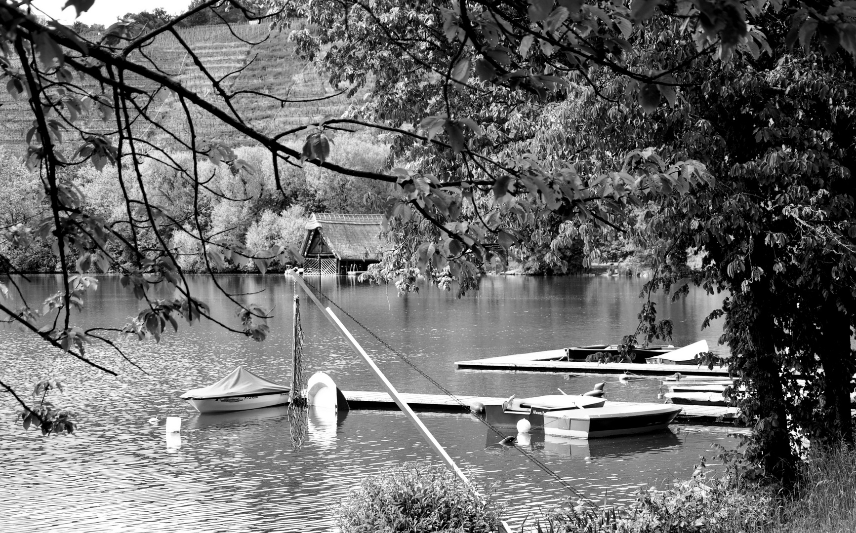 Stille am See