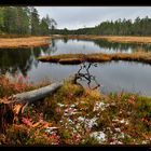 Stille am See