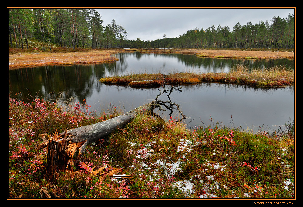 Stille am See