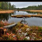 Stille am See