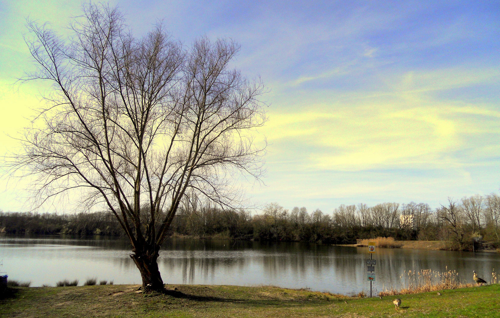 Stille am See