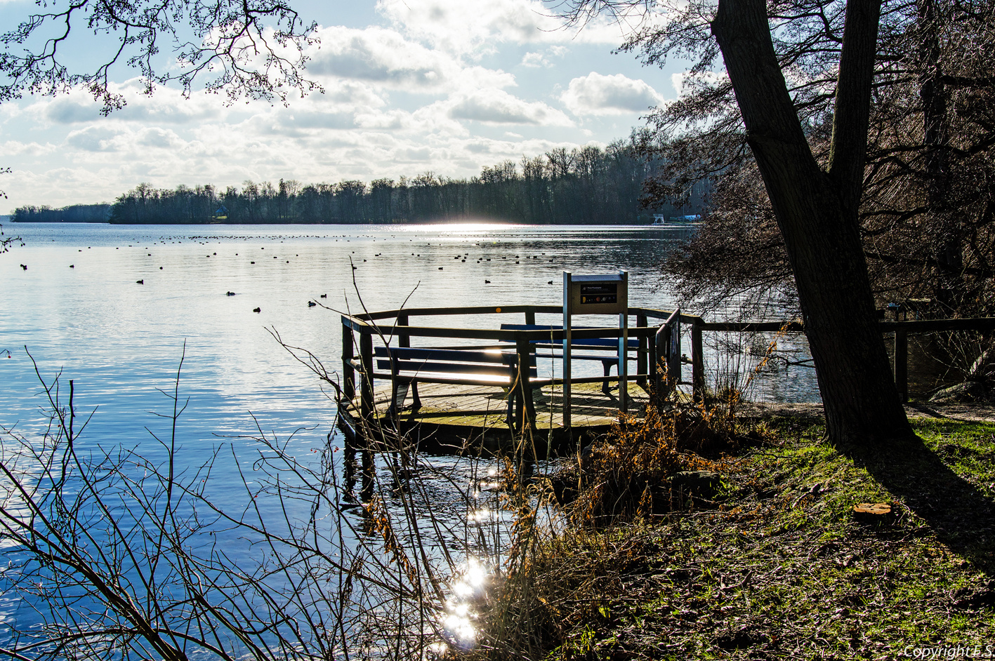 Stille am See