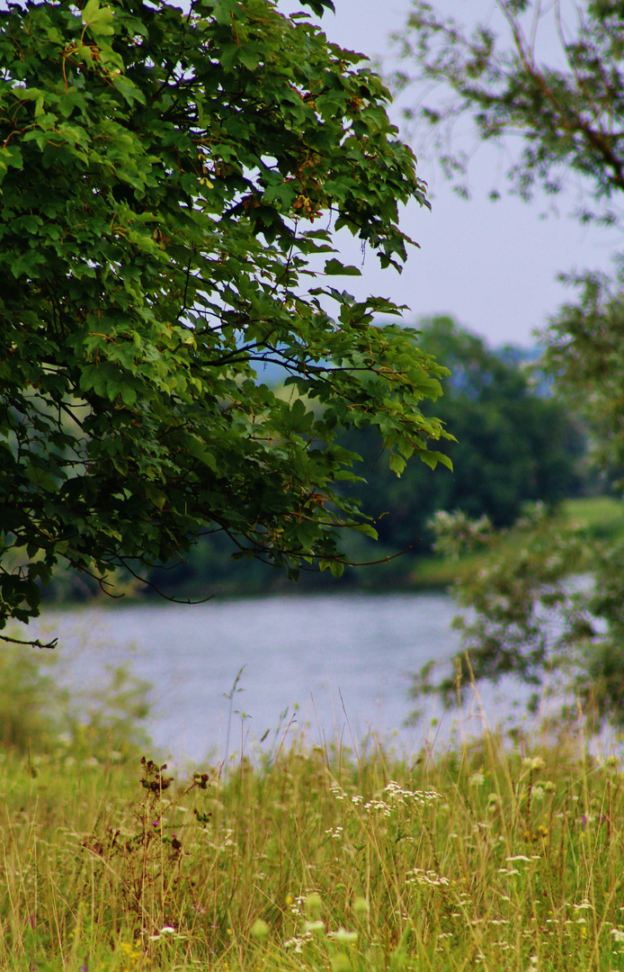 Stille am See