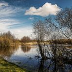 Stille am See