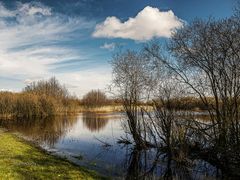 Stille am See