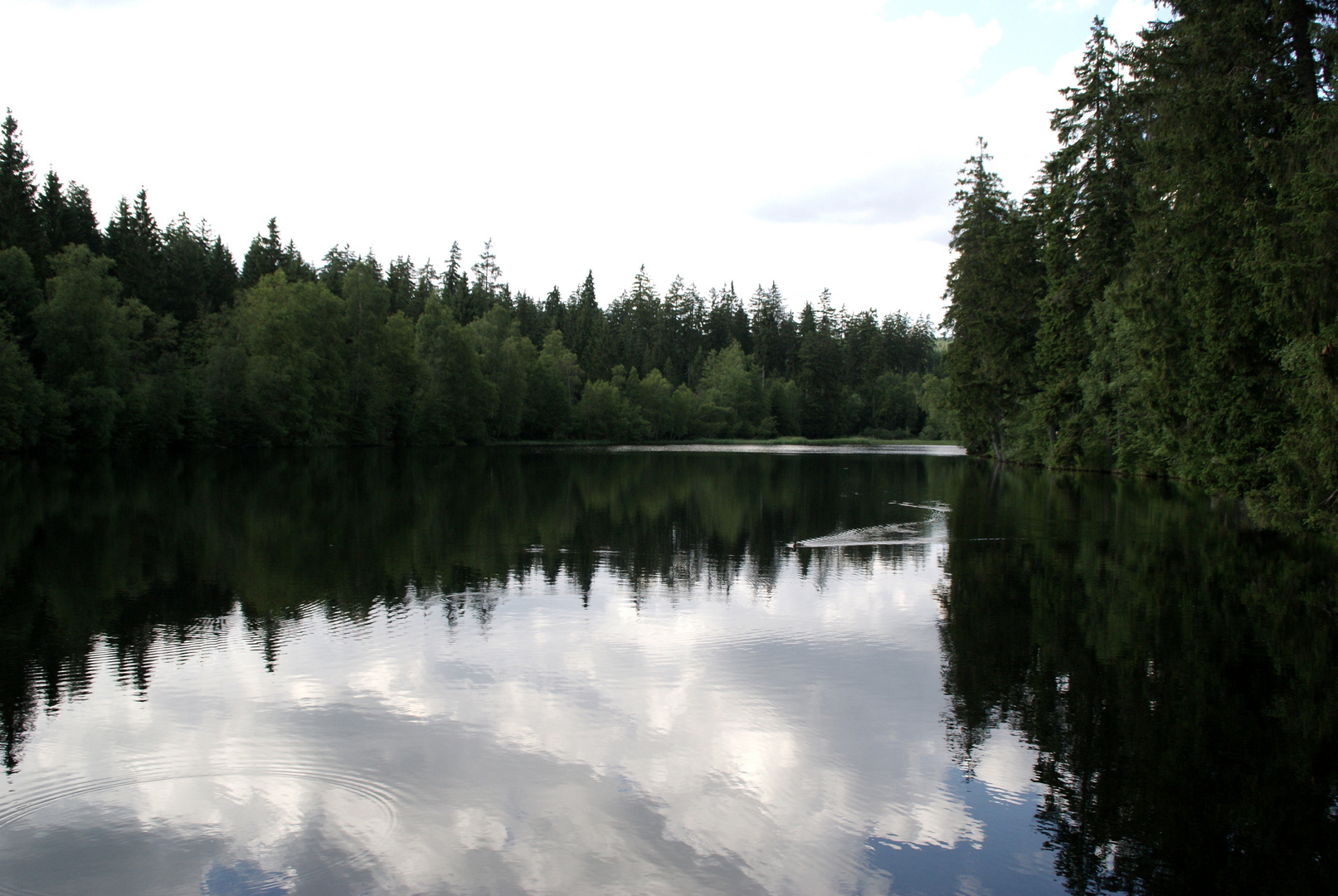 Stille am See