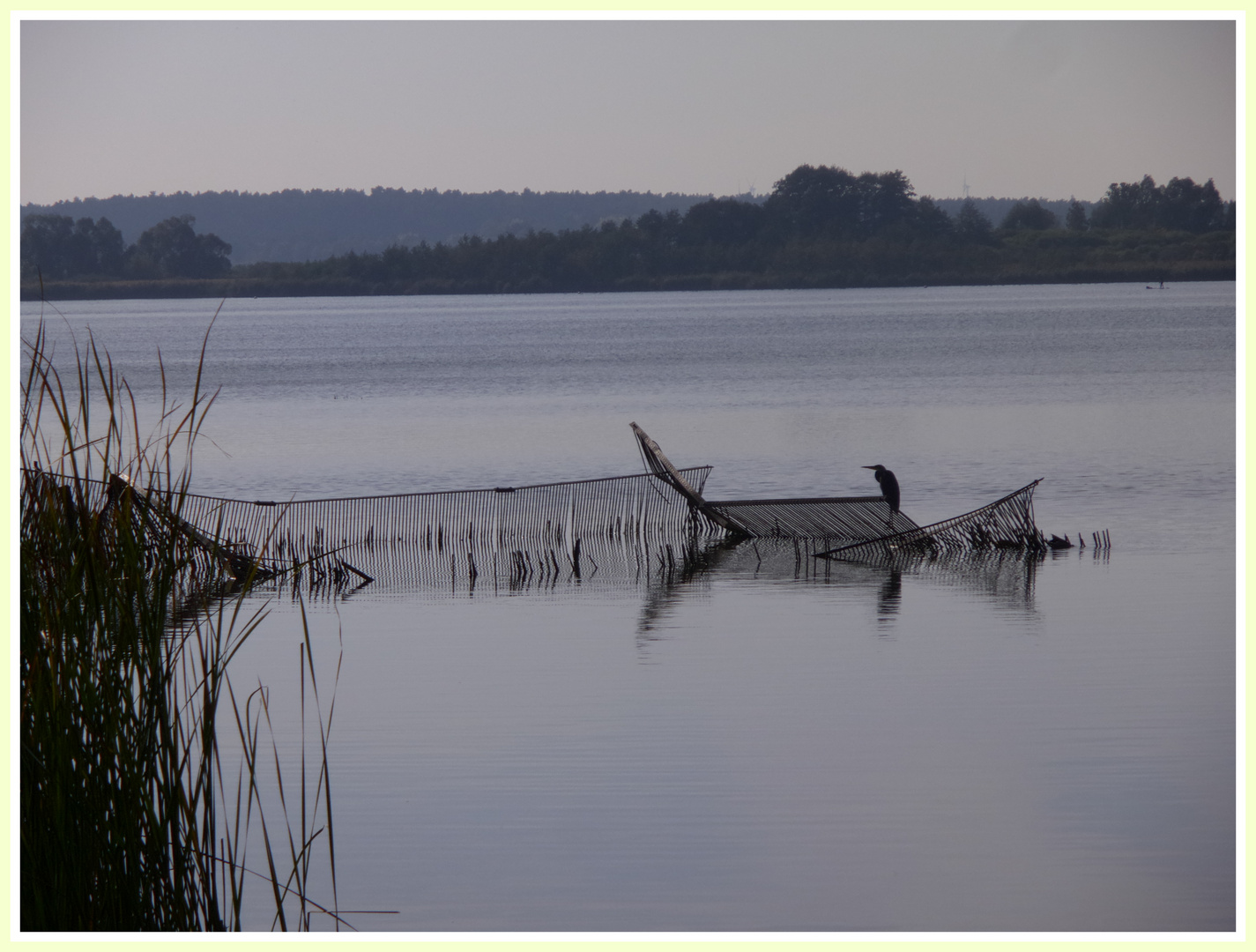 Stille am See